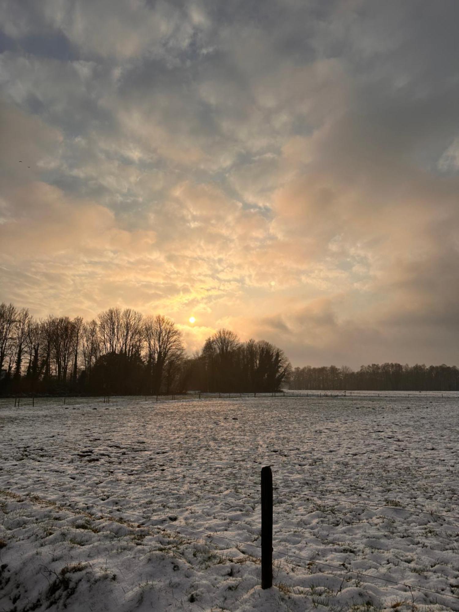 Herberg Sellingen ภายนอก รูปภาพ